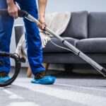 The Importance Of Carpet Cleaning