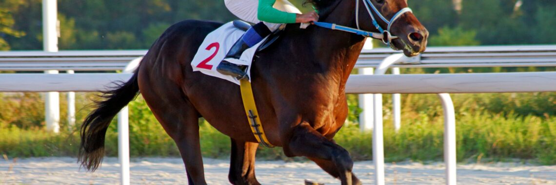 Looking For Horse Racing Tips Today RedHotRaceTips Can Advise You