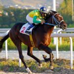 Looking For Horse Racing Tips Today RedHotRaceTips Can Advise You