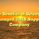 A few Benefits of Selecting a Managed THIS Support Company