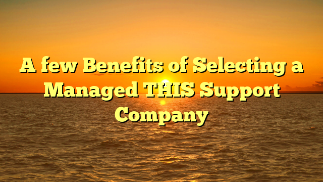 A few Benefits of Selecting a Managed THIS Support Company