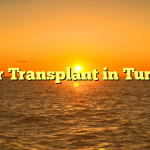 Hair Transplant in Turkey