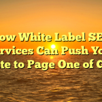 How White Label SEO Services Can Push Your Website to Page One of Google
