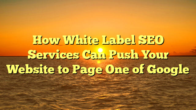 How White Label SEO Services Can Push Your Website to Page One of Google