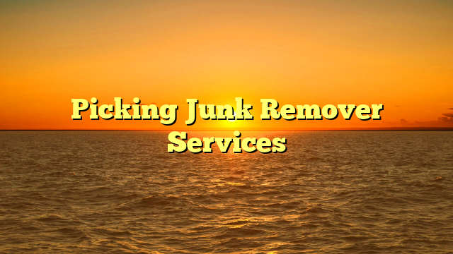 Picking Junk Remover Services
