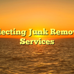 Selecting Junk Remover Services