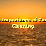 The Importance of Carpet Cleaning