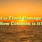 What is Flood Damage and How Common is it?